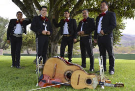 images mariachi perla at park gig